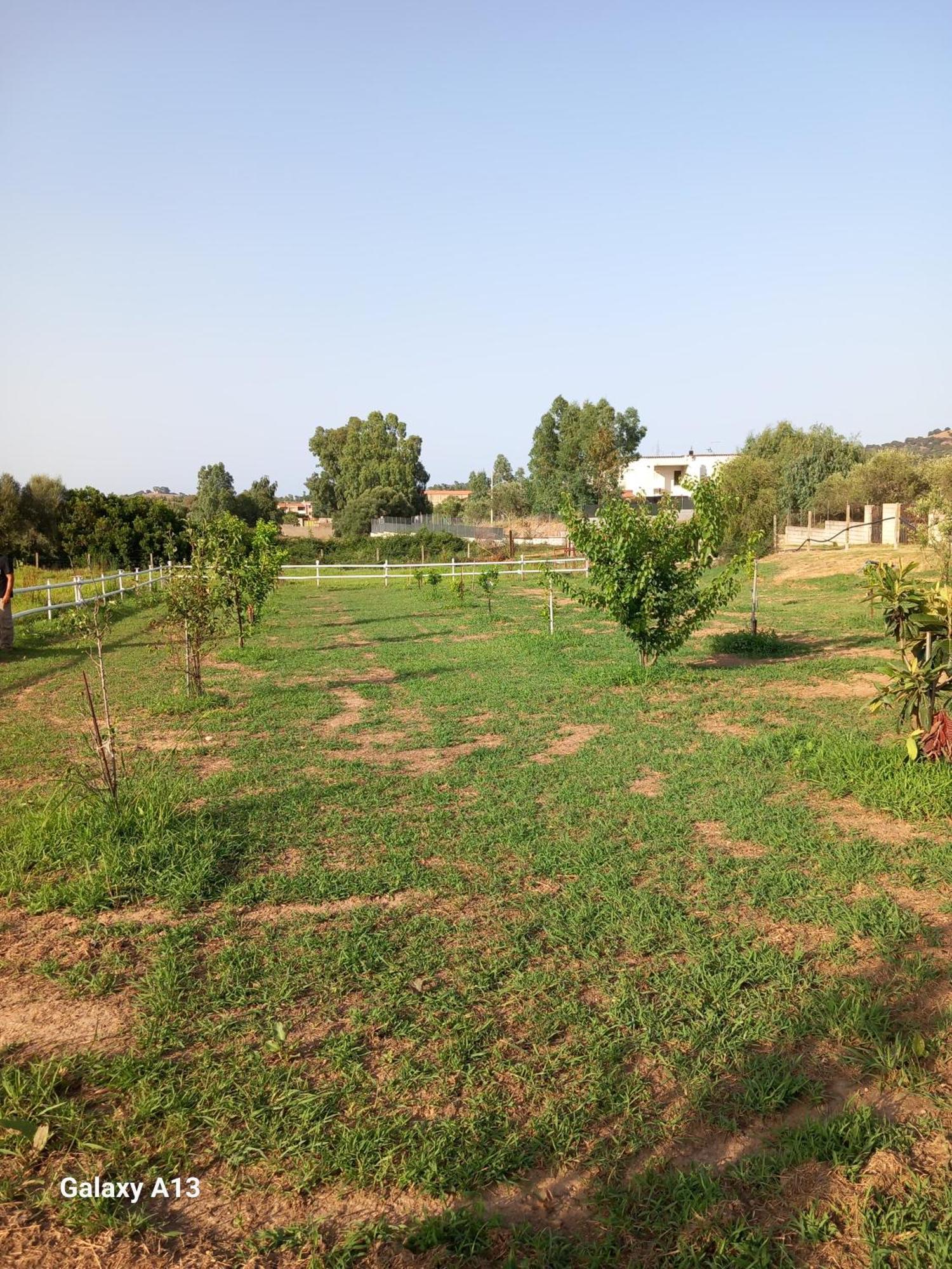 Appartamento Casa Con Bella Vista Siniscola Esterno foto
